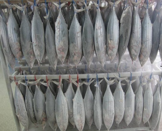 فروش ماهی صنعتی